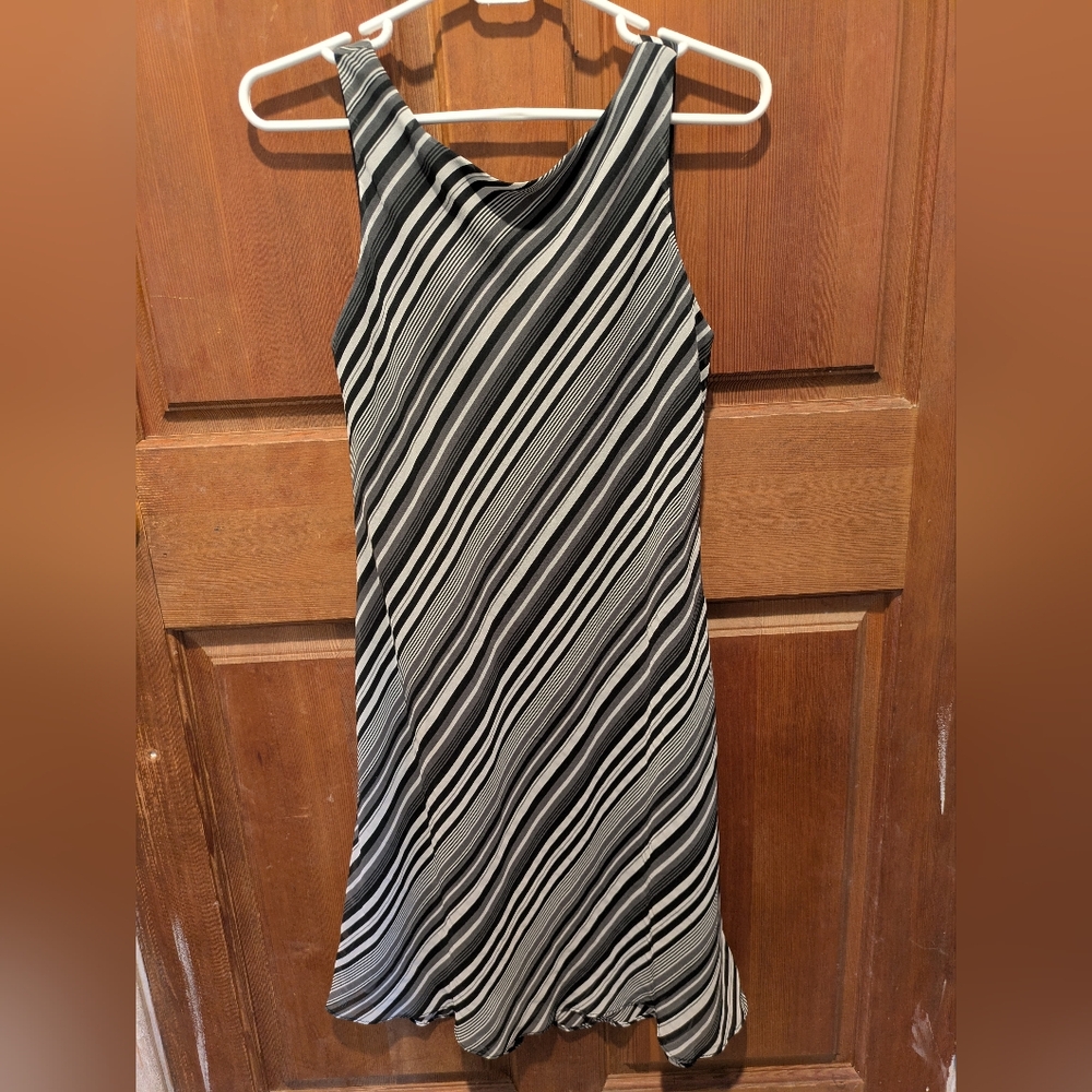 Alyn Paige Striped Asymmetrical Semi Sheer Sheath Polyester Sleeveless Dress S